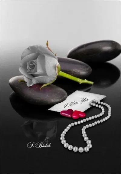 Qui chantait "Pour un peu de tendresse, je te donnerai les diamants que le diable caresse dans mes coffres d'argent" ?