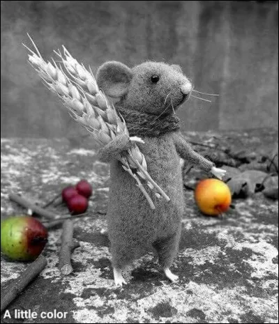 Quel auteur, qui n'est pas avare de jeux de mots, a écrit "Les Souris ont la peau tendre" ?