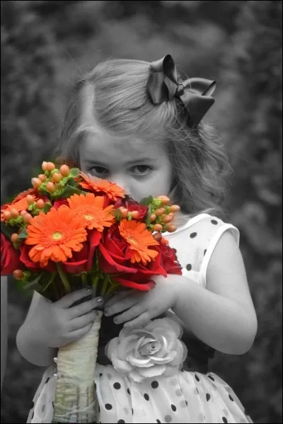 Quand, ce bouquet, symbole de tendresse, viendra-t-il réchauffer le cur des mamies, à l'occasion de la fête des grands-mères ?