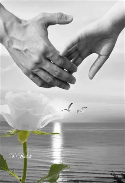 Qui chantait "La tendresse... c'est quand on peut se séparer sans se maudire, sans rien casser, sans rien détruire..." ?