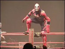 Quel est le seul titre de suicide  la TNA ?