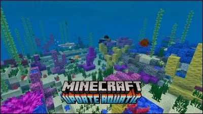 Quelle est la dernière version de Minecraft qui est sortie ?