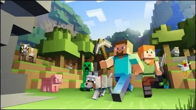 Comment s'appellent les skins de base sur Minecraft ?
