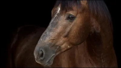 Les aides naturelles : ... trouve l'intrus !
