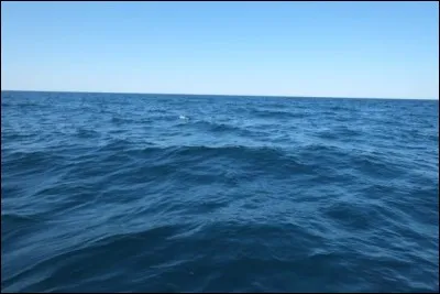 Depuis le début de la révolution industrielle, de combien l'acidité de la surface des eaux des océans a-t-elle augmenté ?