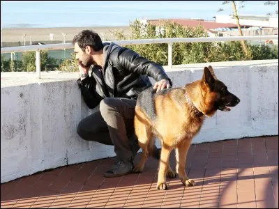 Léon Degrelle fonda en Belgique, en 1935, un mouvement antiparlementaire, autoritaire et corporatif, le...
