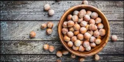 Quel pays est le premier producteur mondial de noisettes ?