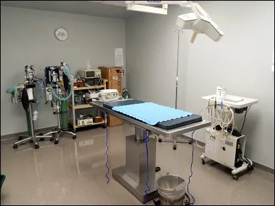 Dans certains cas, pour sauver l'animal, il faut...