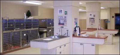 Après cette phase, une petite surveillance permanente par l'équipe de garde est souvent nécessaire. Cela a pour appellation un(e)...