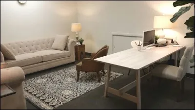 Si nous sommes une clinique vétérinaire, il ne faut pas mettre de côté les maîtres, qui considèrent leur animal comme un membre de la famille et qui, au moindre souci de santé de leur toutou, peuvent se retrouver en détresse psychologique. C'est pour ça qu'une psychologue est présente. Combien de lampes de chevet y a-t-il dans son bureau ?