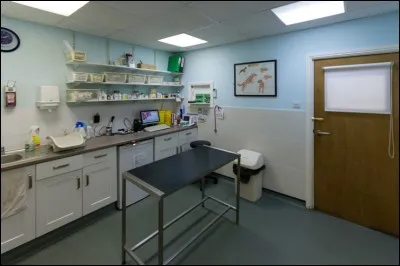 Vous êtes ensuite pris en charge par un professionnel de santé animalière, qui est par ailleurs docteur. Votre animal est conduit ici pour une consultation. Quelle est la profession de cette personne ?