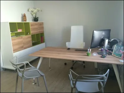 Après examen, votre toutou semble en bonne santé, il vous annonce cette bonne nouvelle dans son...