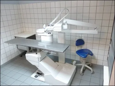 Mais même s'il est en bonne santé, une petite visite chez ce spécialiste dentaire animalier s'impose. Cette spécialité existe aussi pour les humains, et s'appelle :