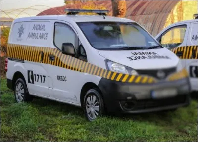 Rien à dire sur votre animal de compagnie, en revanche, pour d'autres, ce n'est pas le cas. Dans ce cas, nous disposons d'un(e)...