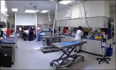 Les patients plus graves sont pris en charge dans ce service, un équivalent d'un déchocage. Combien de tables de consultation apercevez-vous au premier plan ?