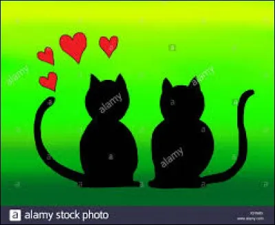 Ton amoureux, amoureuse est...