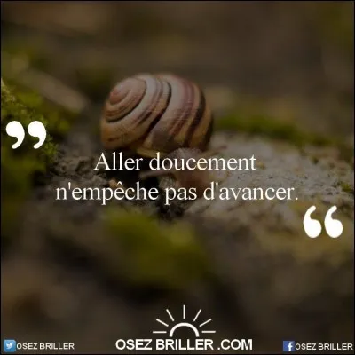 Reviendrai peut-être dans un jour un mois un an !