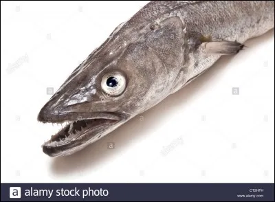 Marquait la distance, c'est la...