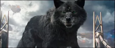 Quelle est la longueur du fameux Fenris, le loup de Hela ?