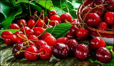 Quel est le titre de cette célèbre chanson révolutionnaire, écrite en 1866 ?