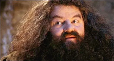 O&ugrave; la baguette magique de Hagrid est-elle dissimul&eacute;e ?