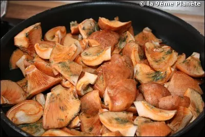 Dès qu'ils seront bien cuits, nous dégusterons encore encore une jolie poêlée de ces champignons dont les méditerranéens sont très fiers !