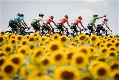Nous sommes au matin de la dernière étape de cette première semaine de course. L'étape est toute plate mais elle ne va pas se dérouler comme prévu. En effet, le vent fait des dégâts et de nombreux leaders perdent énormément de temps. Lequel de ces leaders n'a pas terminé dans le groupe de tête et perd 1 minute et 40 secondes ?