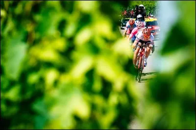 Passons d'Épernay à Colmar. Le tracé de cette cinquième étape est très beau sur le papier. Seulement, ce sont les coureurs qui font la course et le scénario est décevant. Les meilleurs grimpeurs parmi les hommes rapides se jouent la gagne au sprint. Qui passe la ligne en tête à Colmar ?