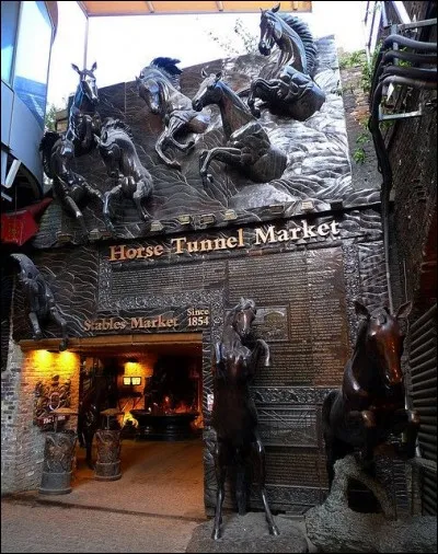 Question voyages à présent : quelles sont les destinations qui t'intéressent le plus ?