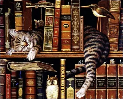 Tu arrives dans une immense bibliothèque. Quels titres de livres ont le plus de chance de t'attirer ?