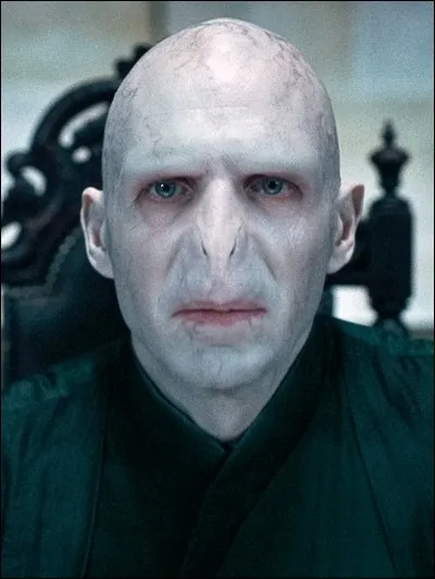 Que penses-tu de Voldemort ?
