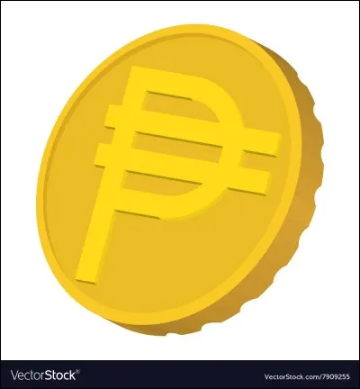 De quel type de monnaie s'agit-il ?