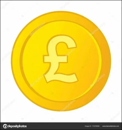 De quel type de monnaie s'agit-il ?