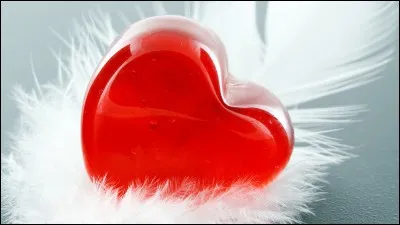 Quel terme désigne quelqu'un qui s'abstient des plaisirs de l'amour ?