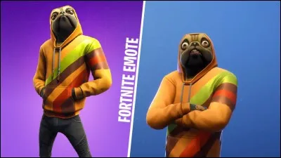 Comment s'appelle-t-il ?