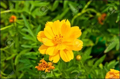 Qu'est-ce que l'oncologie ?