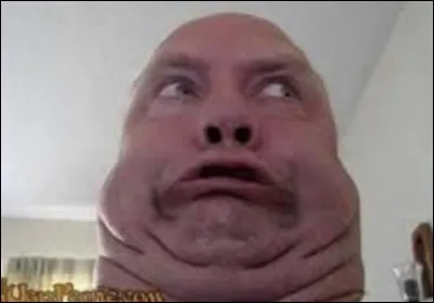 Pour toi, le fromage s'assemble parfaitement avec....