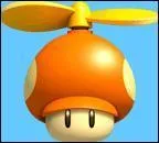 Si l'on possde un champignon hlico et que l'on ramasse 8 pices rouges, qu'obtient-on ?