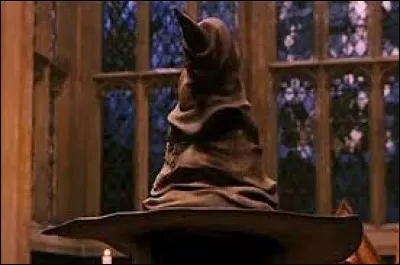 Dans le livre "Harry Potter à l'école des sorciers", quel est le premier à être appelé par le professeur McGonagall pour être dirigé dans une maison ?