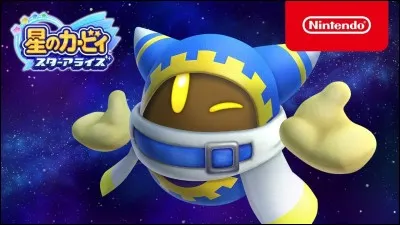 Quel est ce personnage dans kirby adventure wii