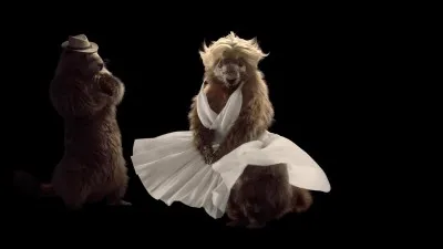 Happy birthday madames et messieurs les quizzeurs !