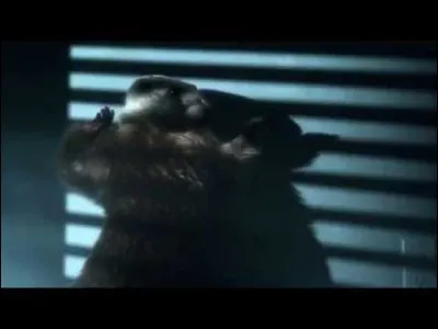 You can leave your hat on !