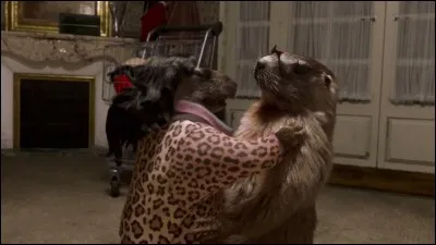 Ca dépend, ça dépasse !