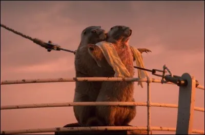 Je suis le maître du monde !