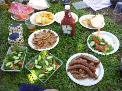 Si tu étais obligé(e) de choisir un repas que tu devrais manger pendant toute ta vie, ce serait...