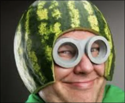 Tu décrirais Vine comme...