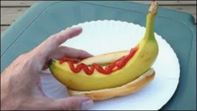 Ton plat préféré :