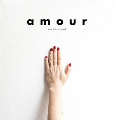 Quel chanteur interprète "Amour, amitié" ?