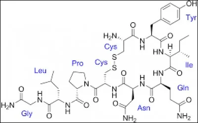 Sciences - Quel est l'autre nom de l'ocytocine ?