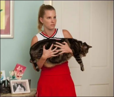 Comment s'appelle le premier chat de Brittany ?